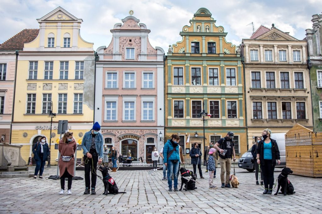 Group photo in Poland outside with guide dogs.