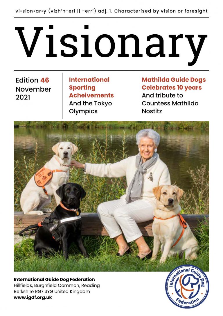Visionary Edition 46 cover page